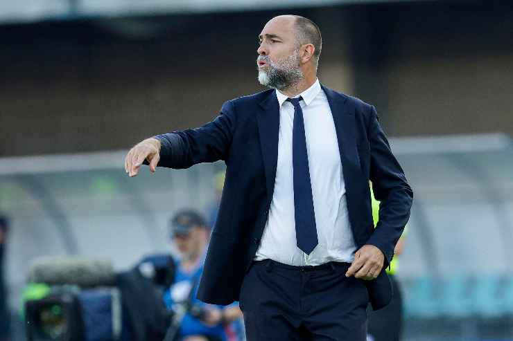 igor tudor