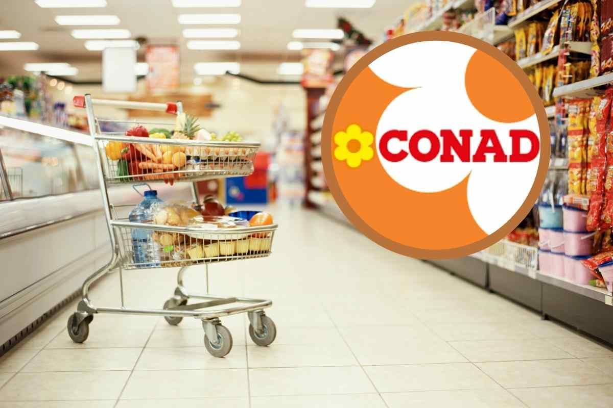 Carrello della spesa