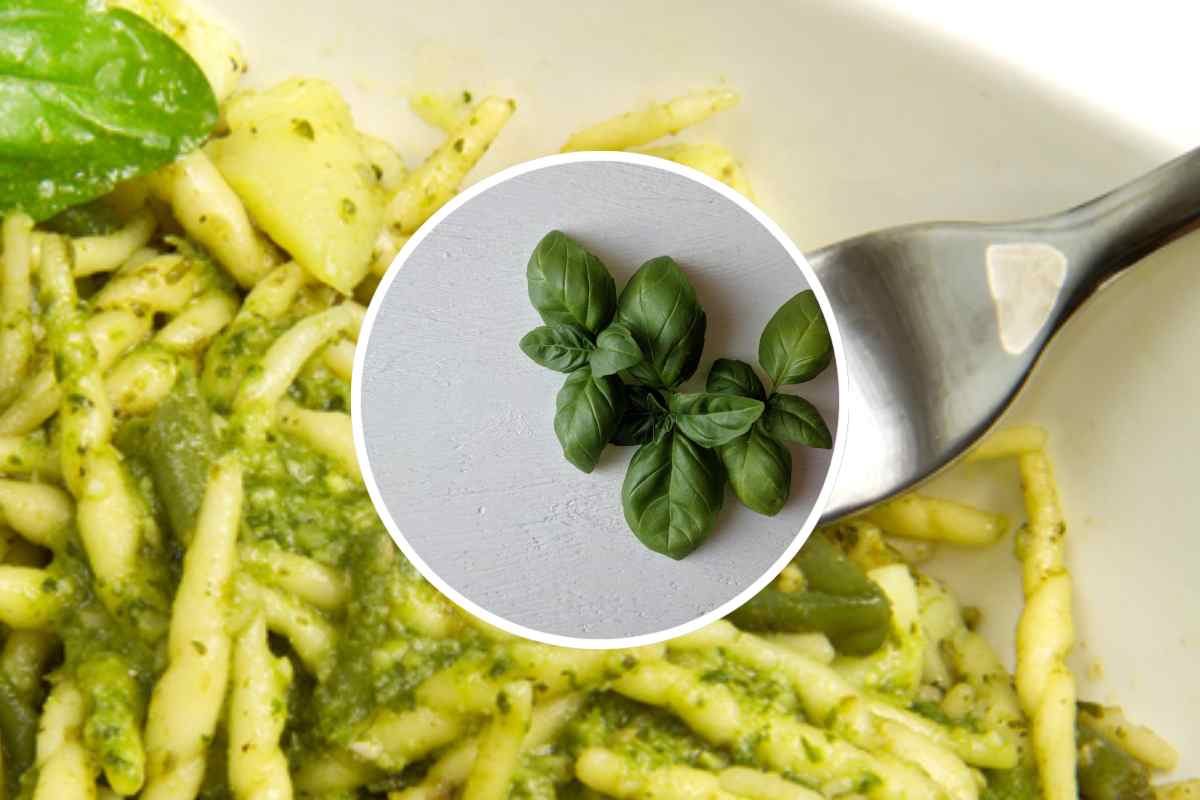 Un piatto di trenette al pesto e, in evidenza, delle foglioline di basilico