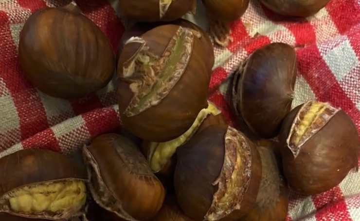 castagne di bruno barbieri